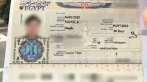visa-ai-cap-1.webp