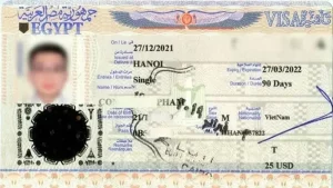 visa-ai-cap-2.webp