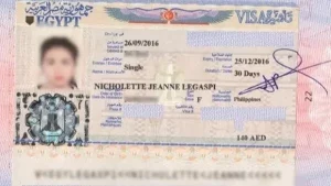 visa-ai-cap-4.webp