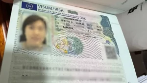 visa-dan-mach-4.webp