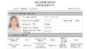visa-han-quoc-3.webp