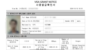 visa-han-quoc-4.webp