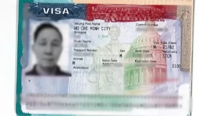 visa-my-1.webp