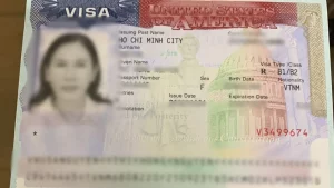 visa-my-2.webp