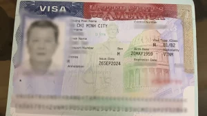 visa-my-5.webp