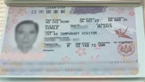 visa-nhat-ban-3.webp