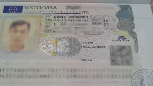 visa-y-1.webp