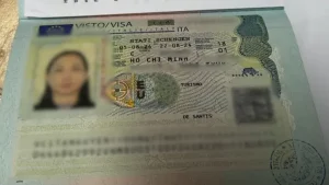 visa-y-5.webp